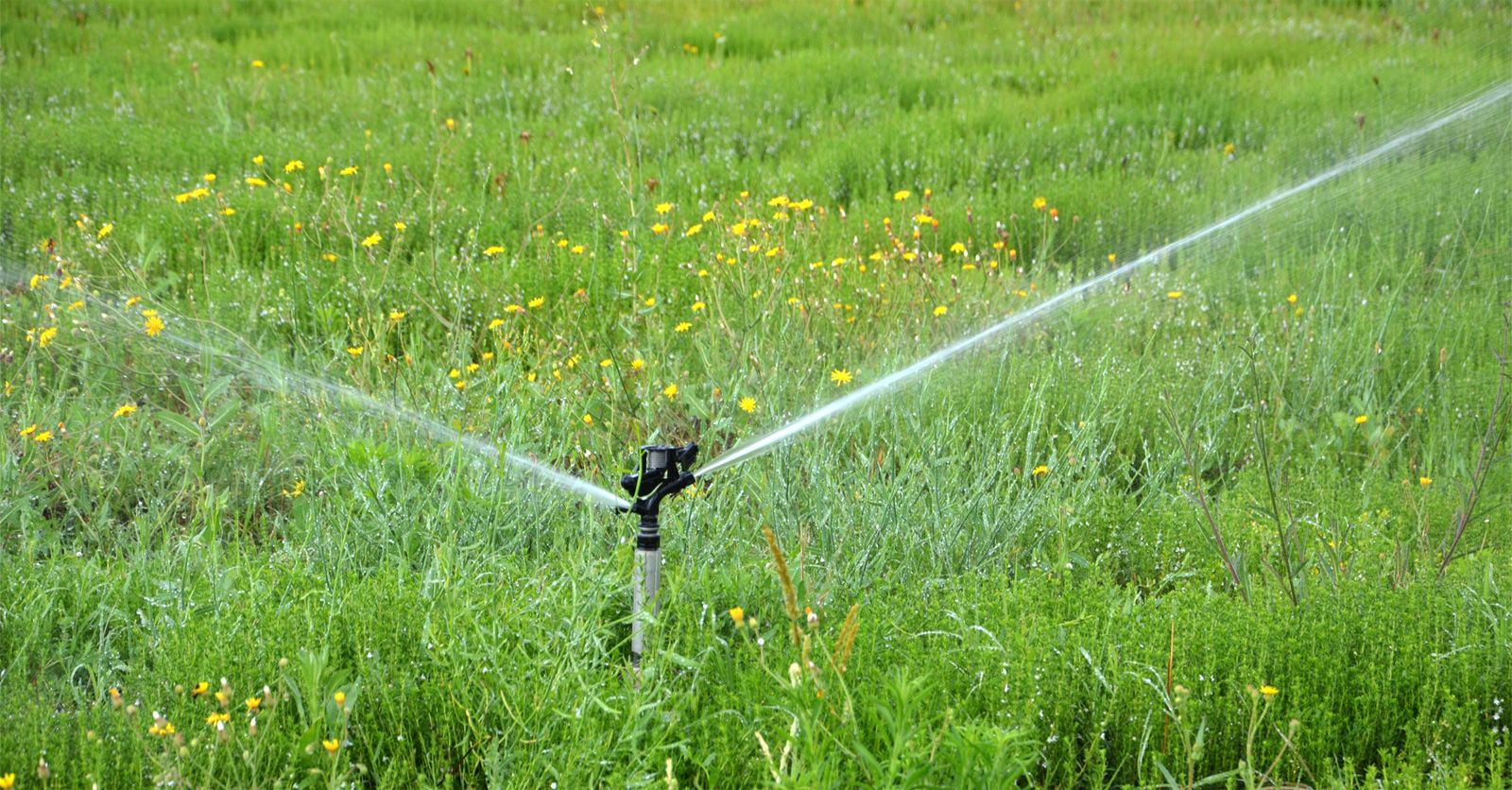 irrigation84_photo_irrigation_024_v1