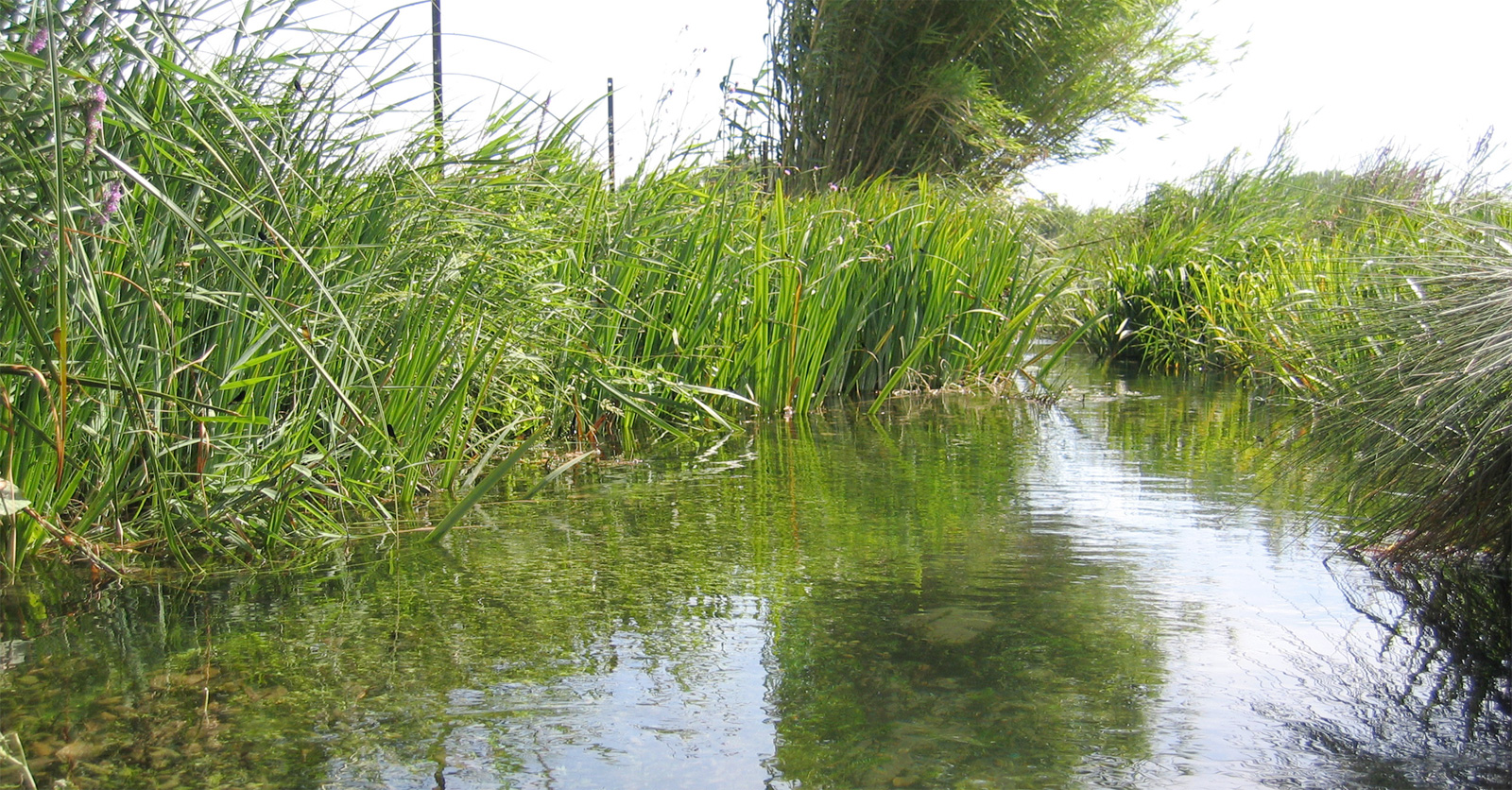 irrigation84_photo_cours_eau_019_v1