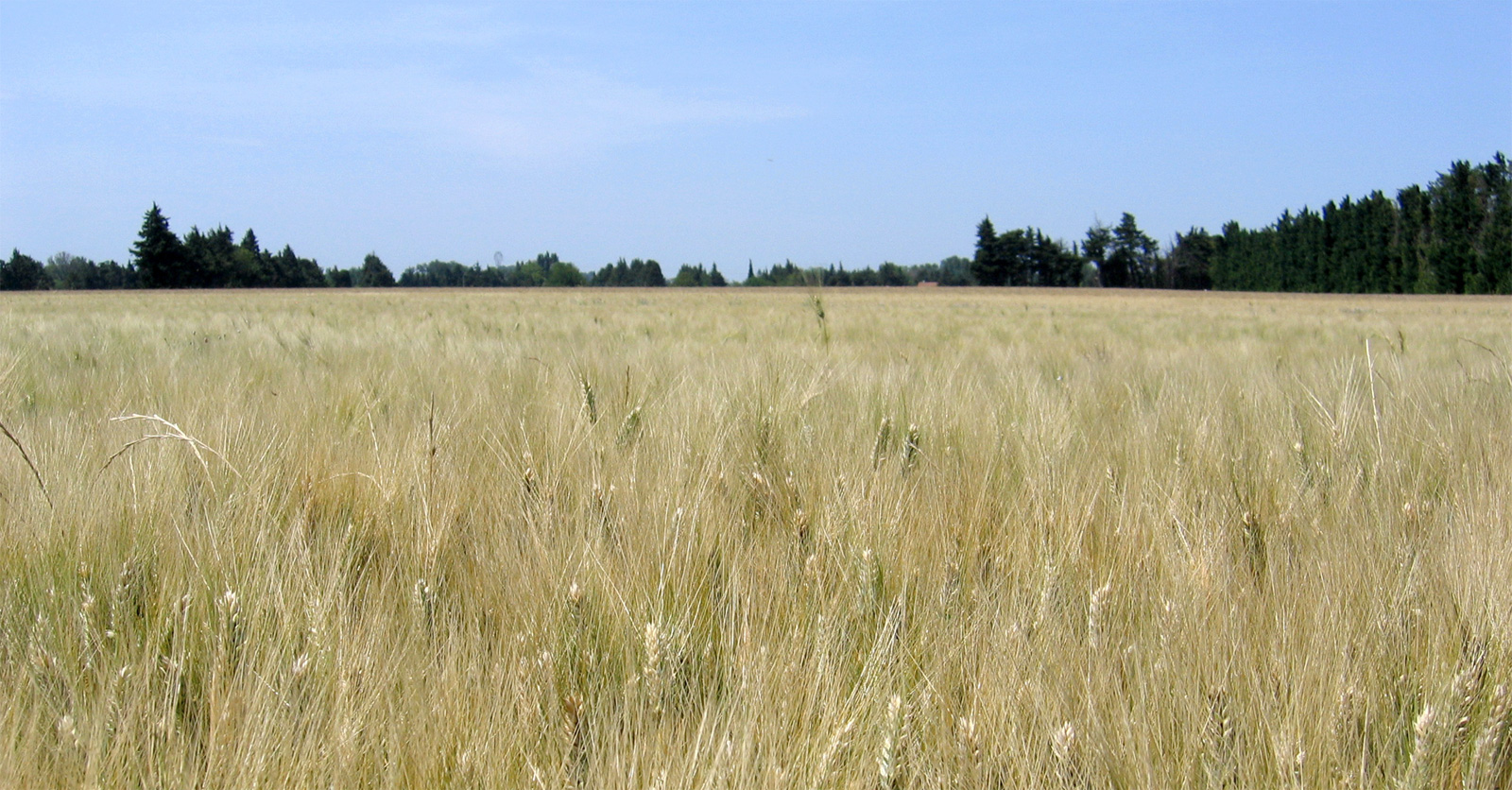 irrigation84_photo_cultures_productions_005_v1