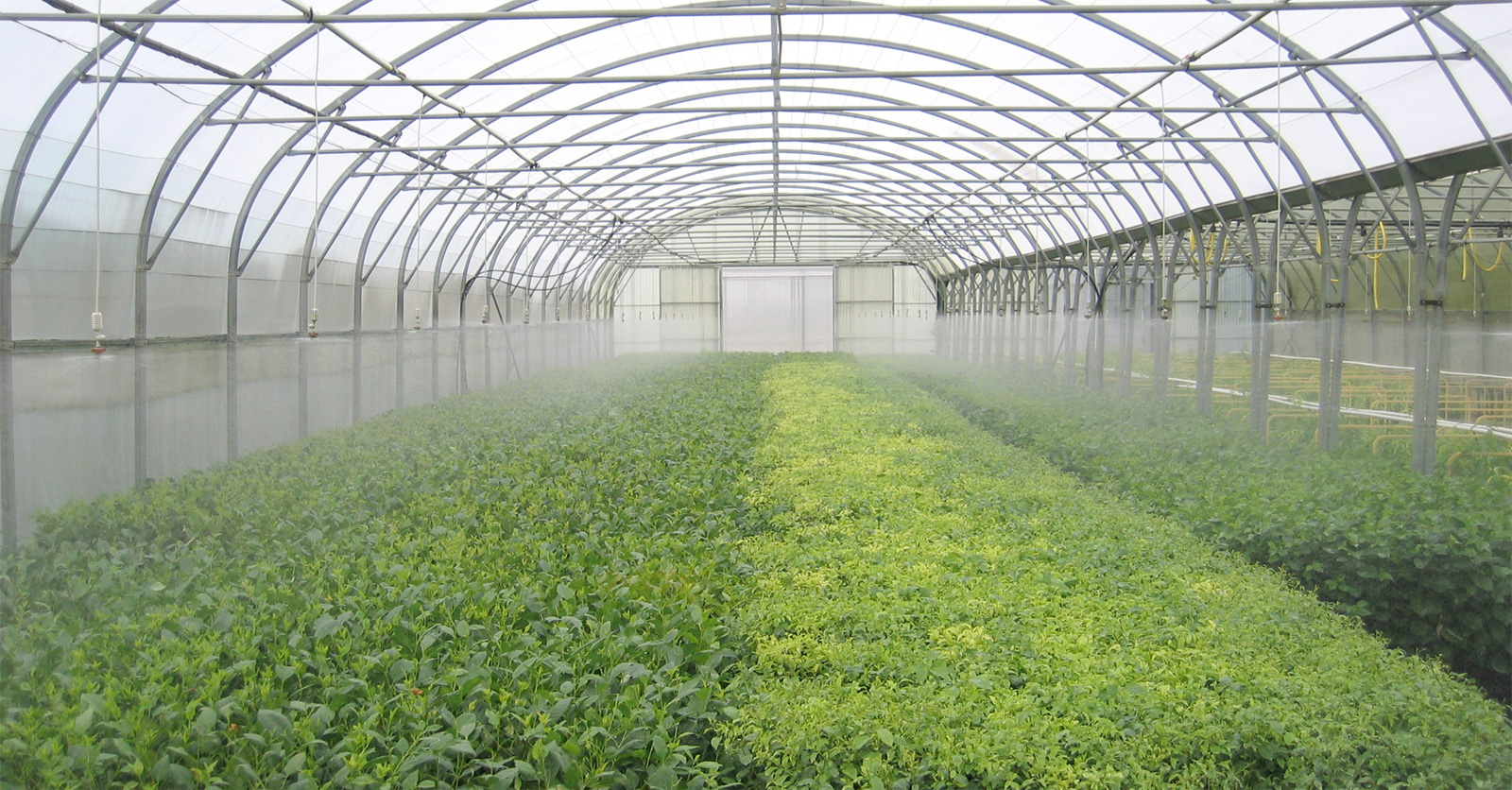 irrigation84_photo_irrigation_008_v1