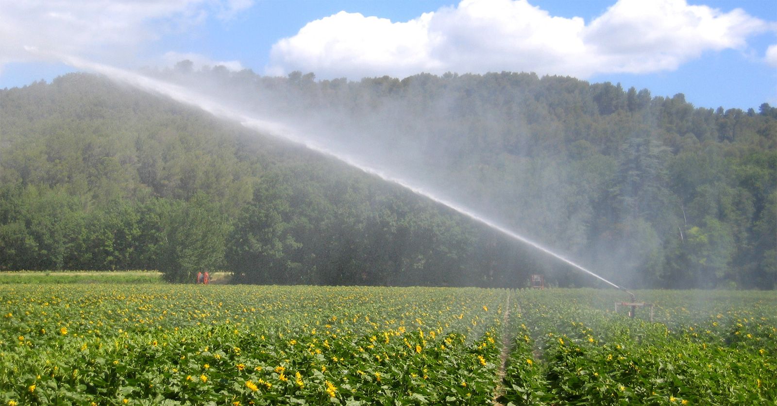 irrigation84_photo_irrigation_001_v1