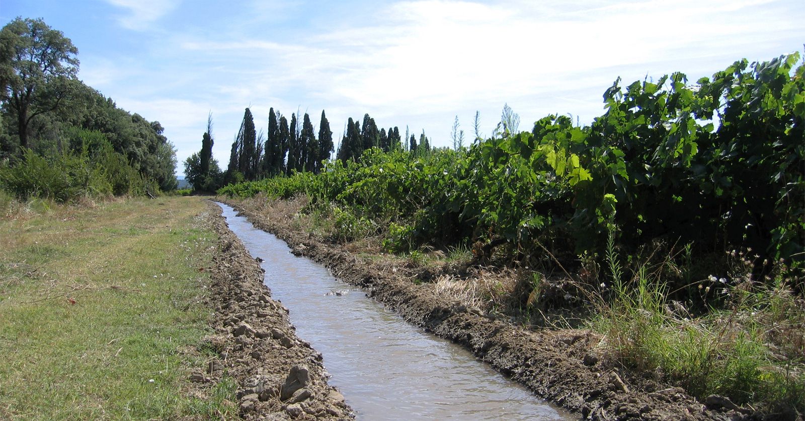 irrigation84_photo_irrigation_010_v1