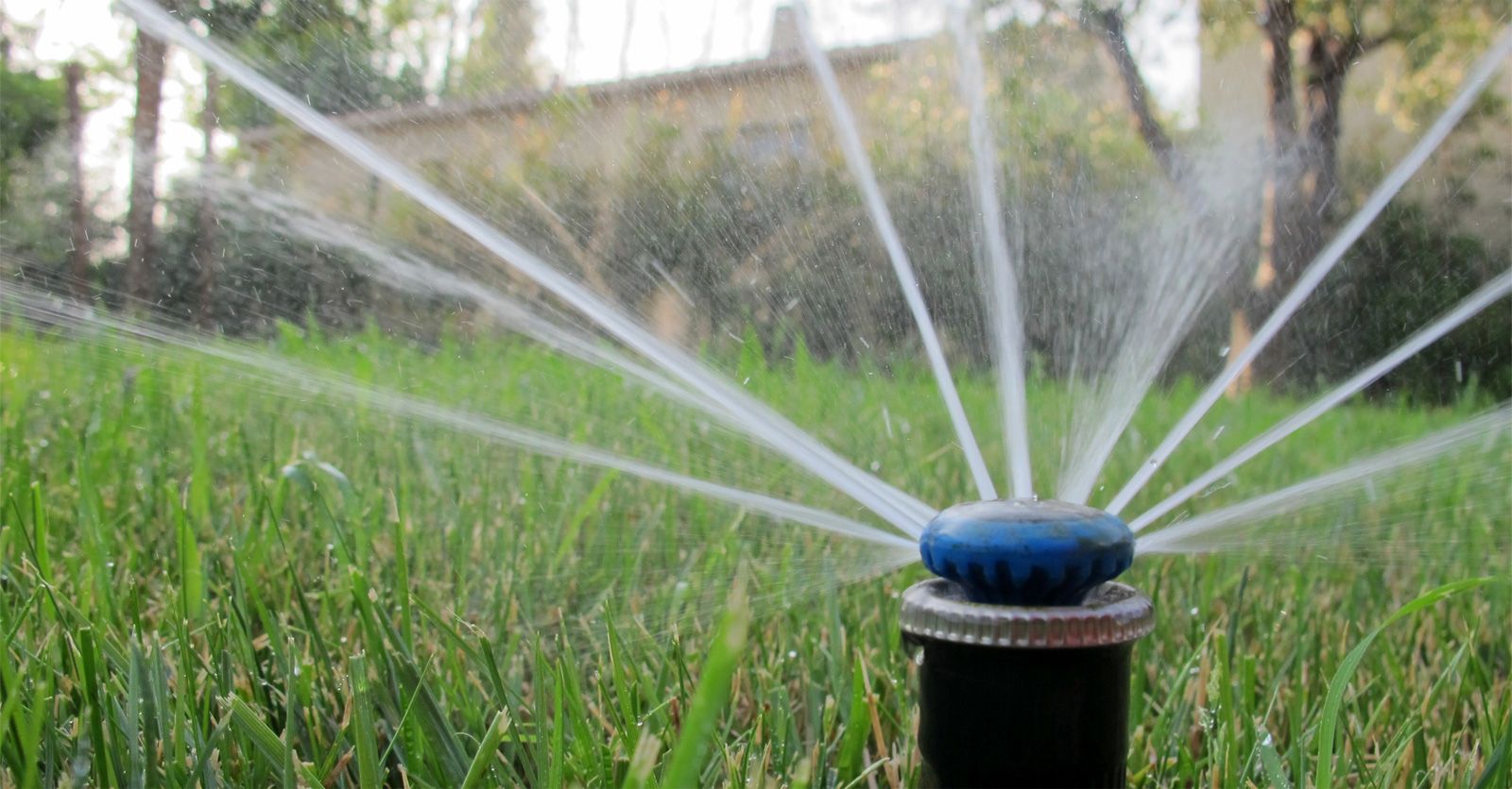 irrigation84_photo_irrigation_029_v1