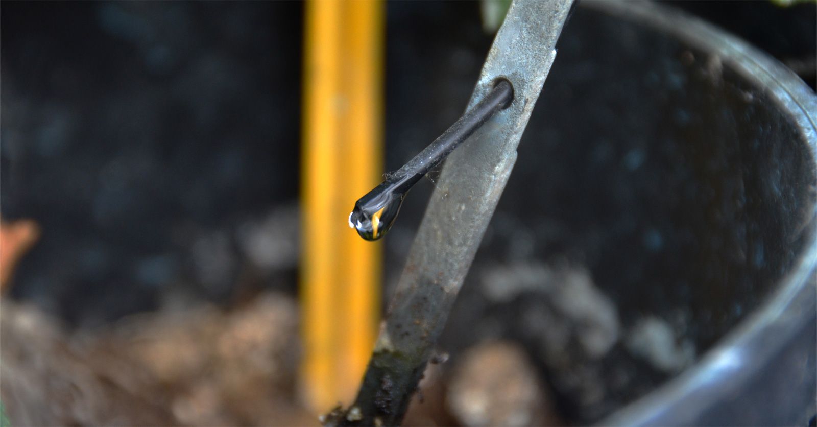 irrigation84_photo_irrigation_023_v1