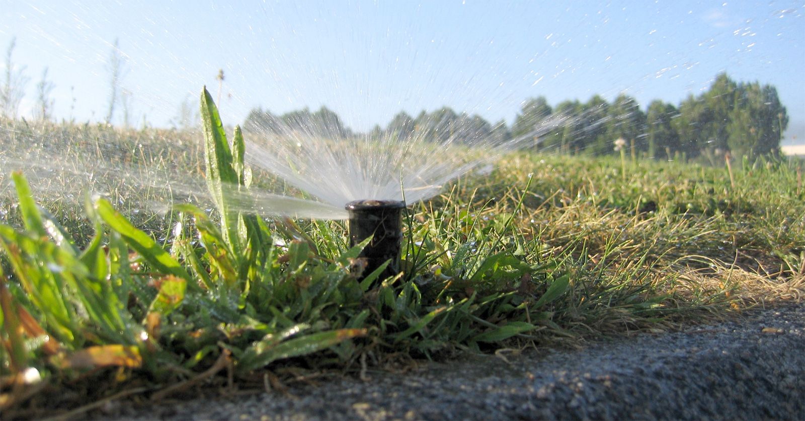 irrigation84_photo_irrigation_005_v1