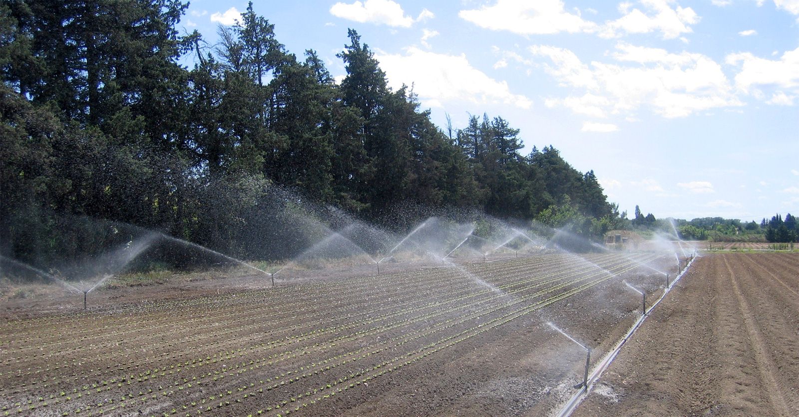 irrigation84_photo_irrigation_002_v1