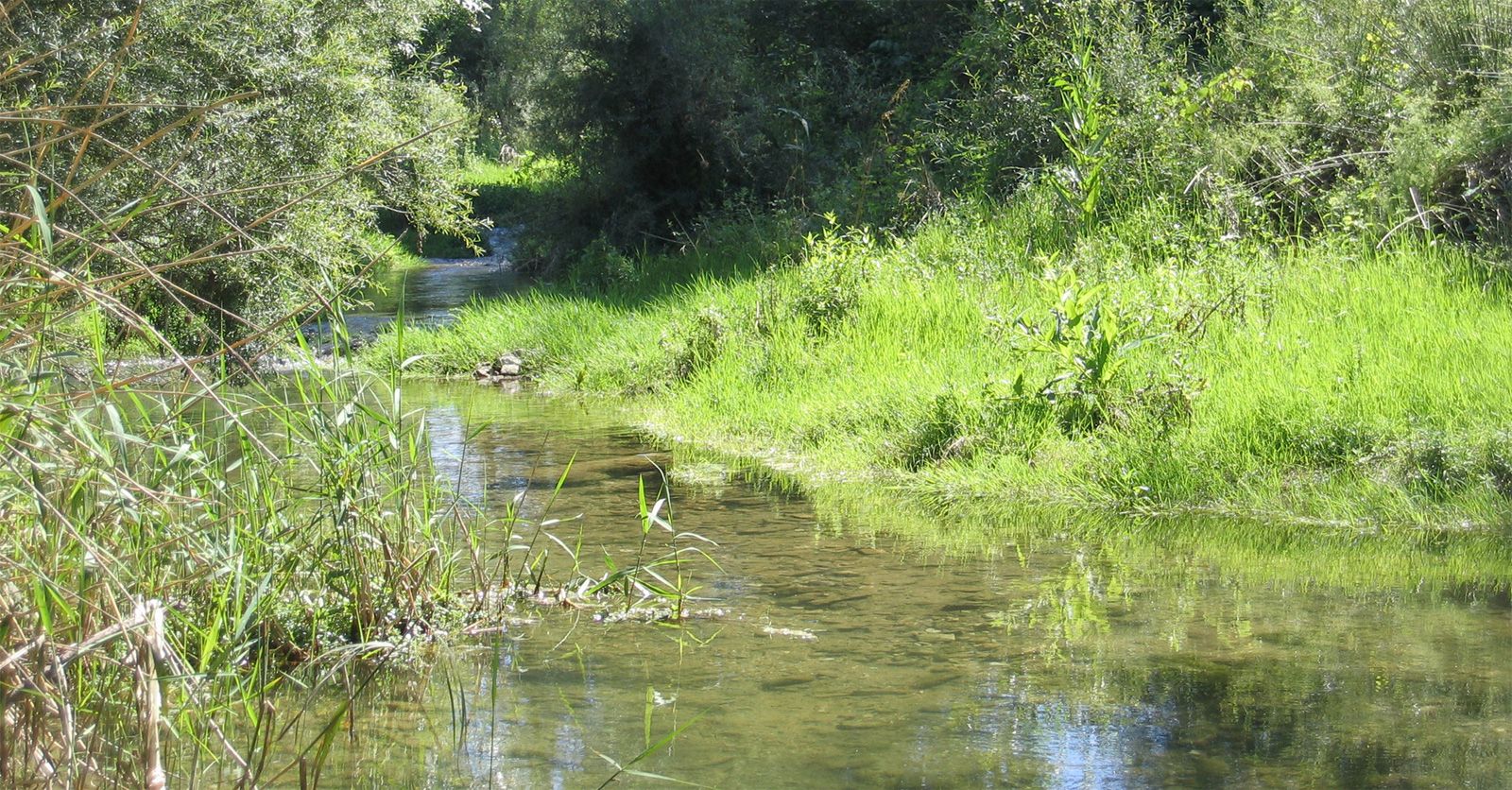 irrigation84_photo_cours_eau_010_v1