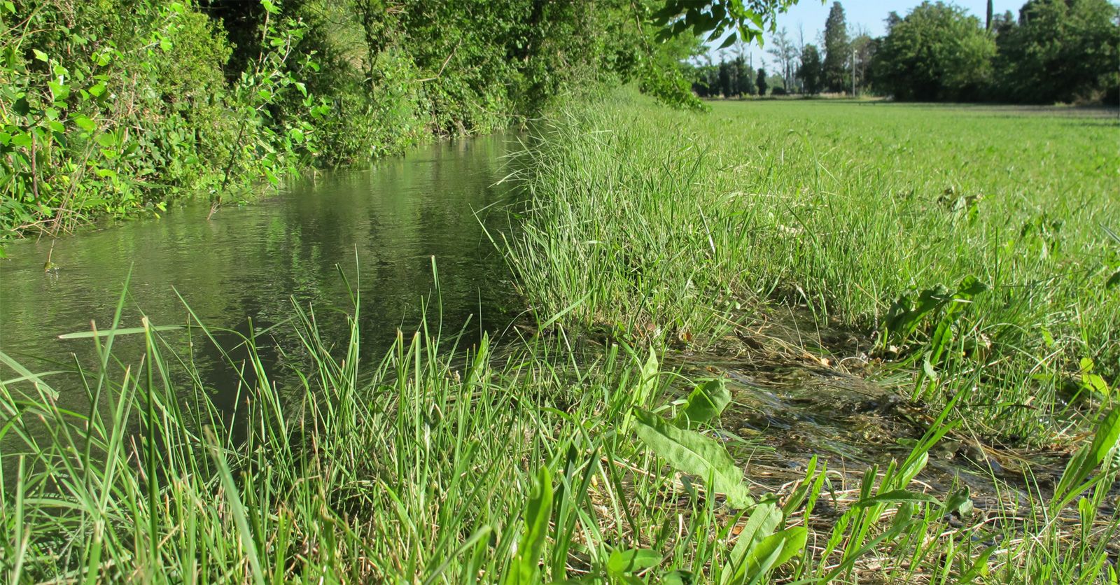 irrigation84_photo_irrigation_025_v1