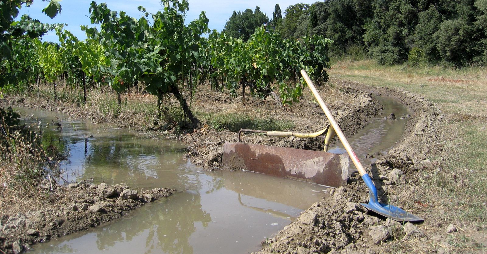 irrigation84_photo_irrigation_011_v1