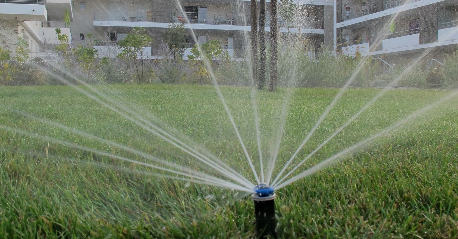 irrigation84_photo_irrigation_028_v1