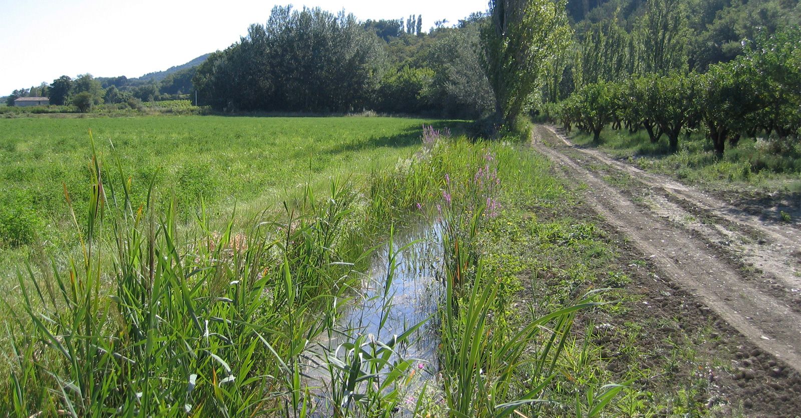 irrigation84_photo_ouvrages_canaux_010_v1