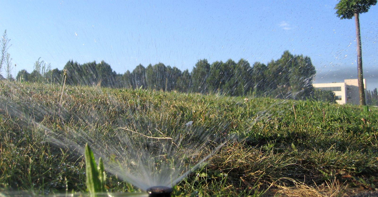 irrigation84_photo_irrigation_004_v1