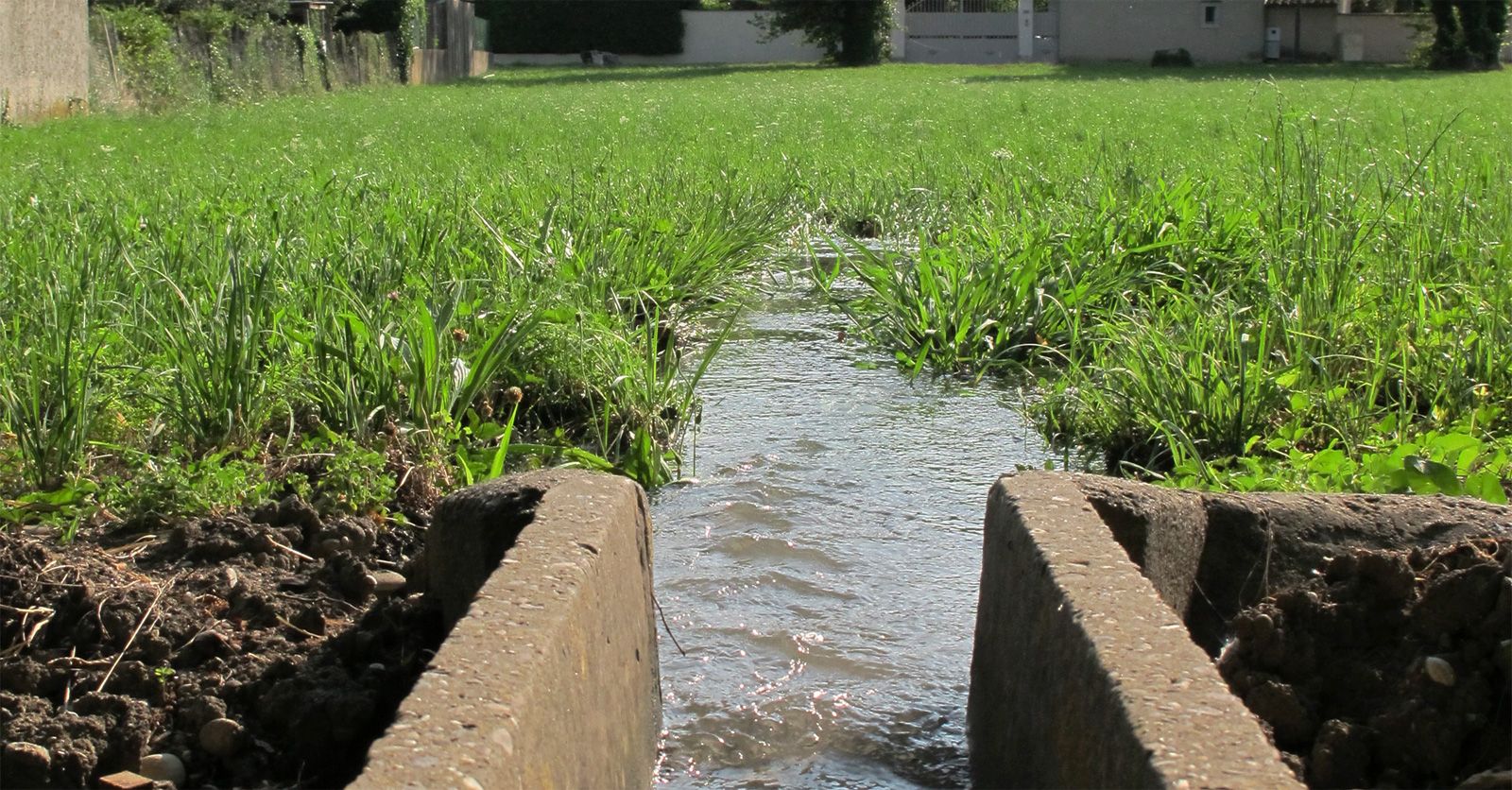 irrigation84_photo_irrigation_026_v1