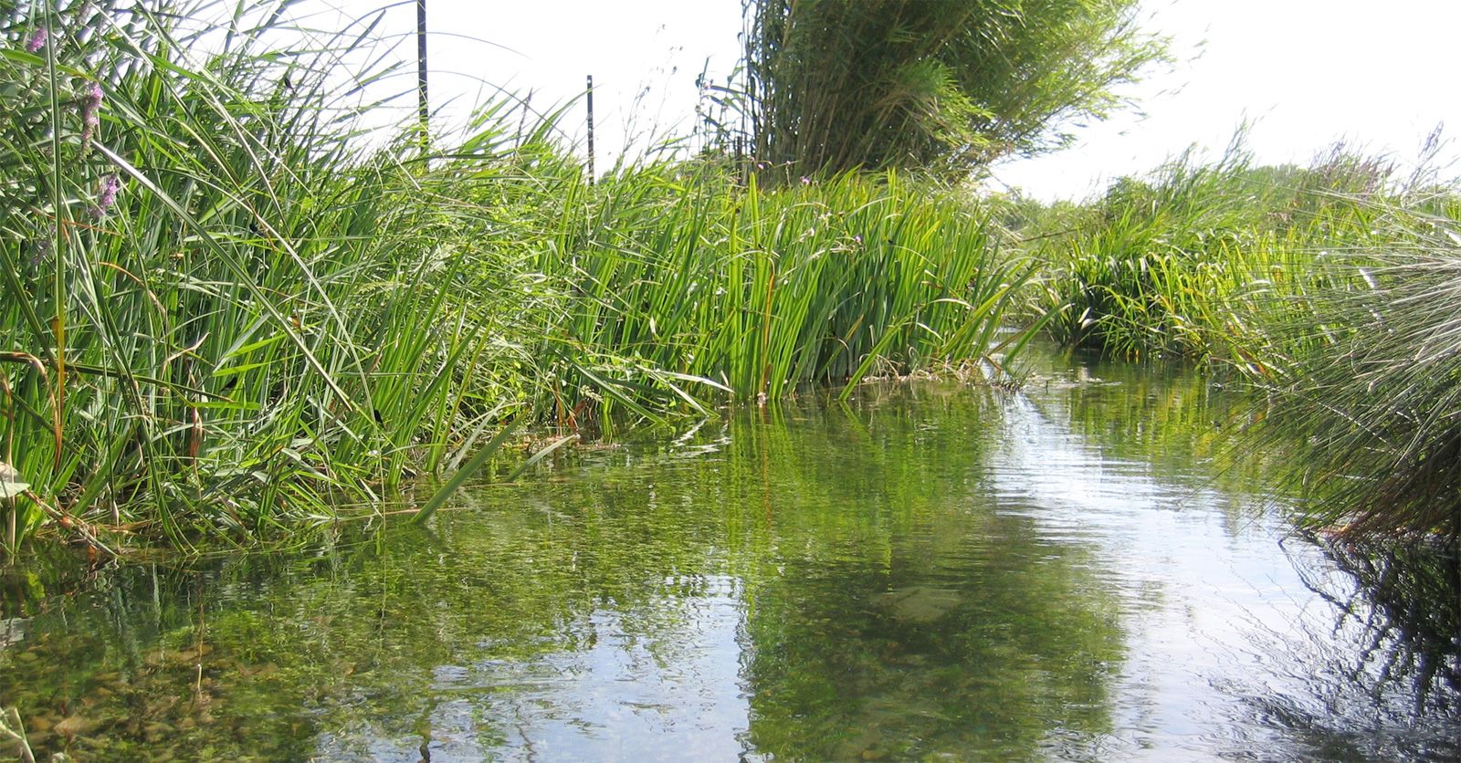 irrigation84_photo_cours_eau_019_v1