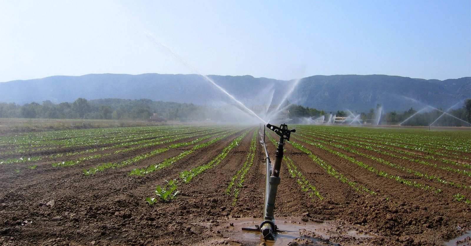 irrigation84_photo_irrigation_012_v1