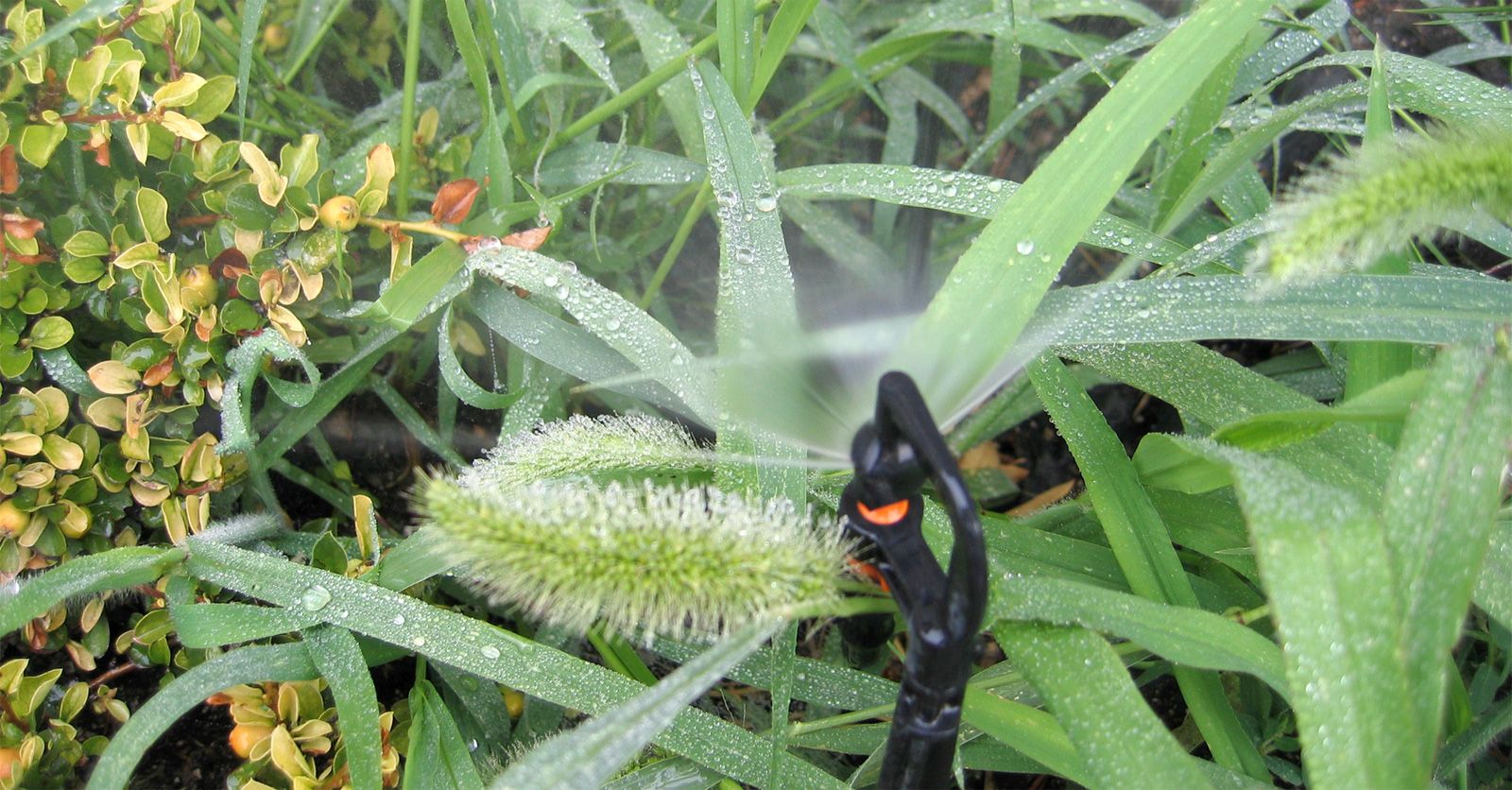 irrigation84_photo_irrigation_009_v1